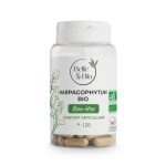 BELLE AND BIO HARPAGOPHYTUM CONFORT ARTICULAIRE 120 GELULES