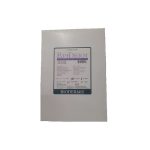 BIODERMIS EPI DERM FEUILLE DE SILICONE POUR CICATRICE 3.6X15CM PM 1106