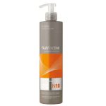 ERAYBA NUTRIACTIVE COLLASTIN MASQUE N10 250ML